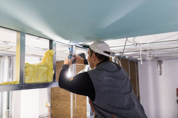 Best Insulation Installation Services in Manassas Park, VA