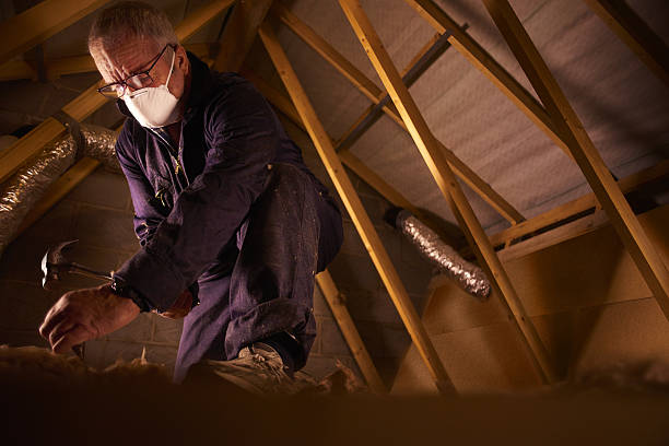 Best Commercial Insulation in Manassas Park, VA