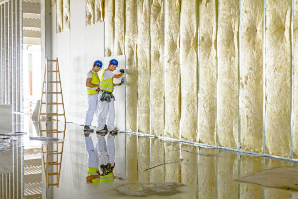 Best Residential Insulation in Manassas Park, VA